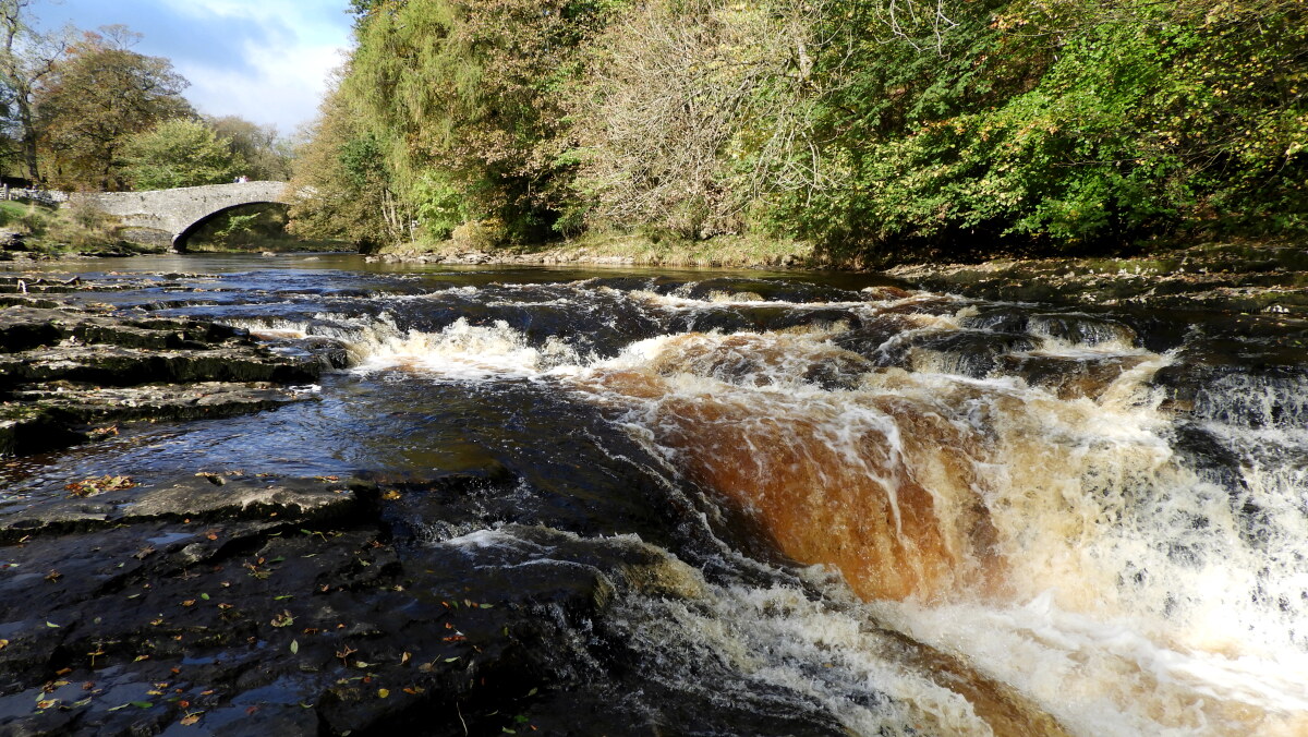 Stainforth Force