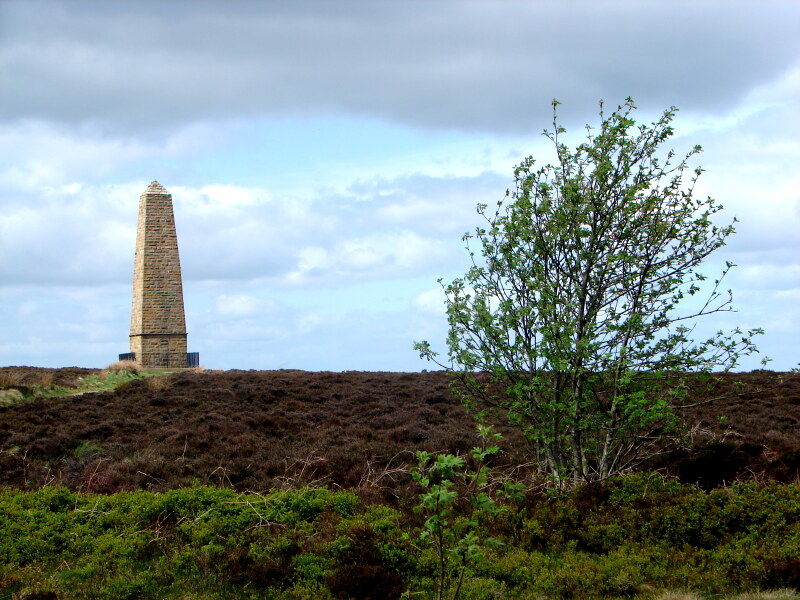 Captain Cook's Monument