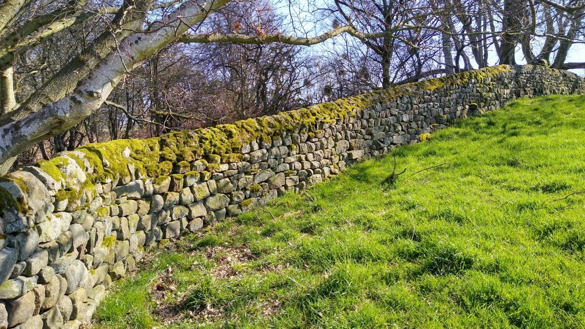 Field above Oak Beck