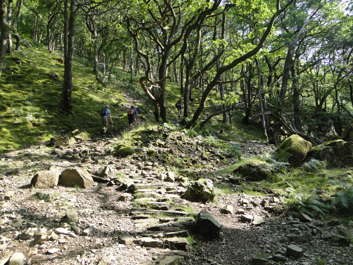 Woodland path to Watendlath