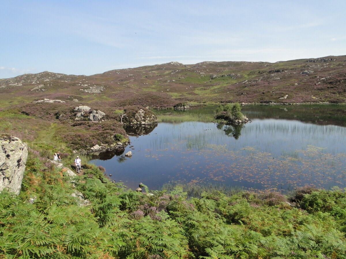 Dock Tarn