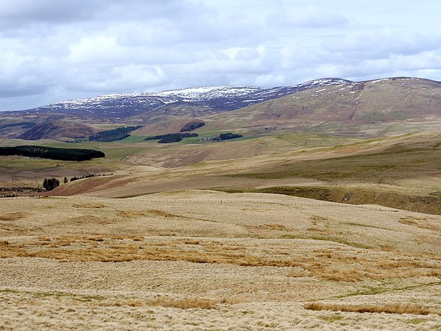 Cheviot Hills