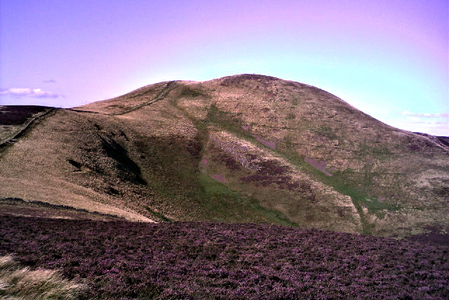 Allermuir Hill