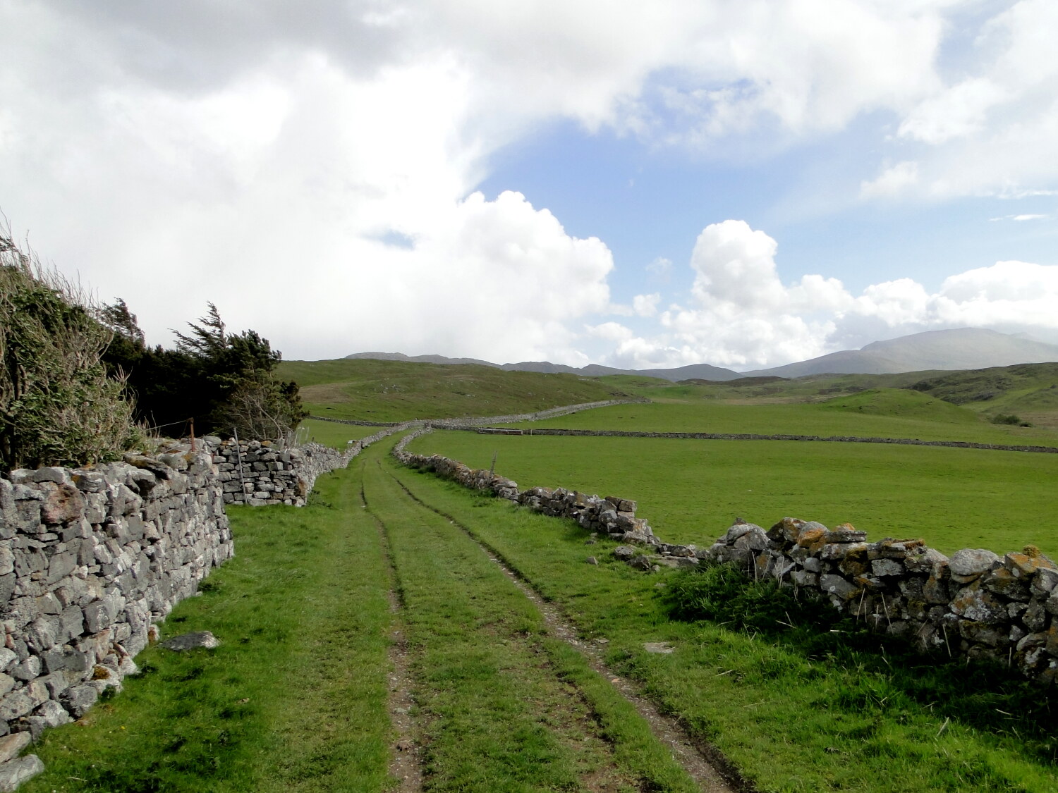 Footpath at Balnakeil