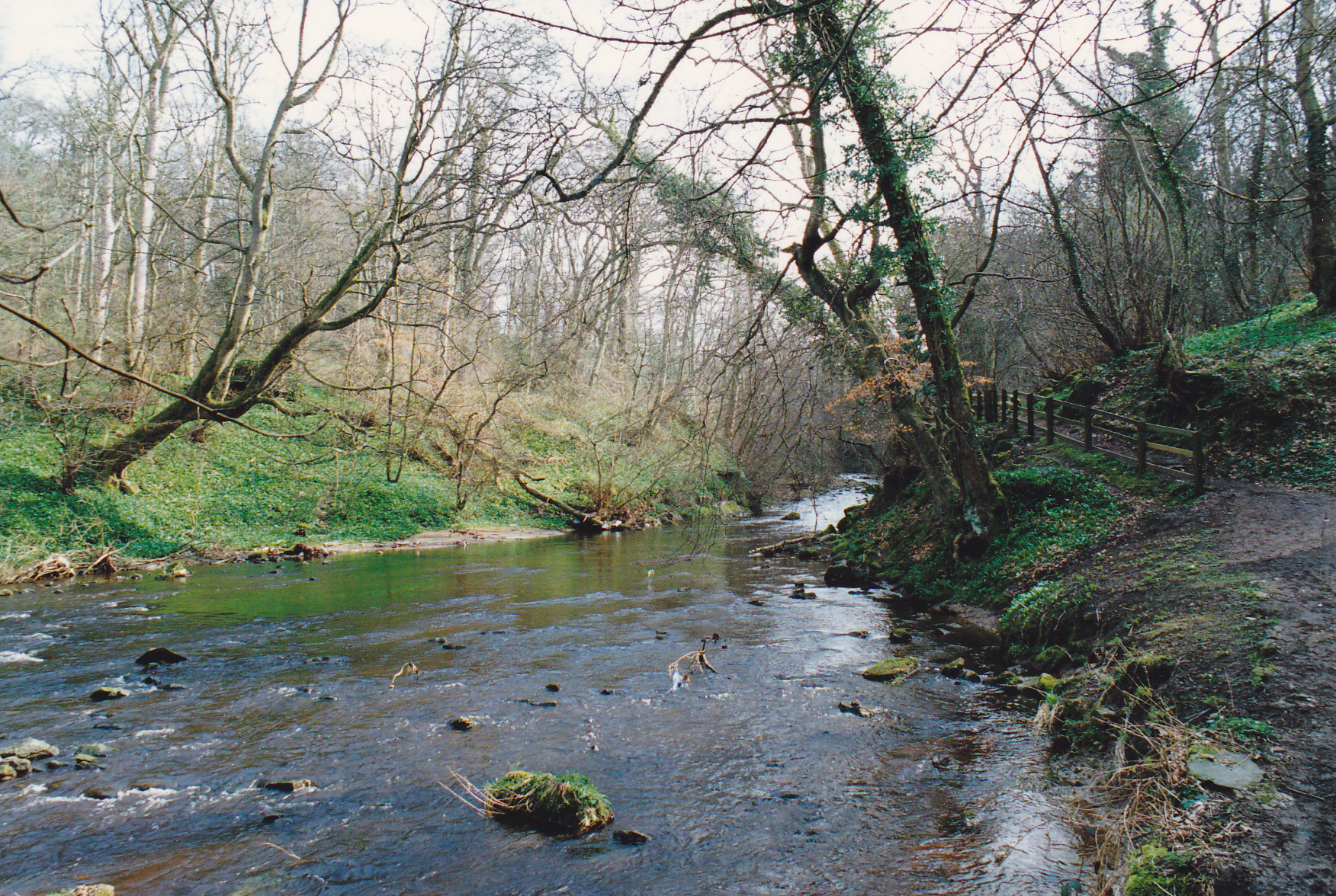 Water of Leith