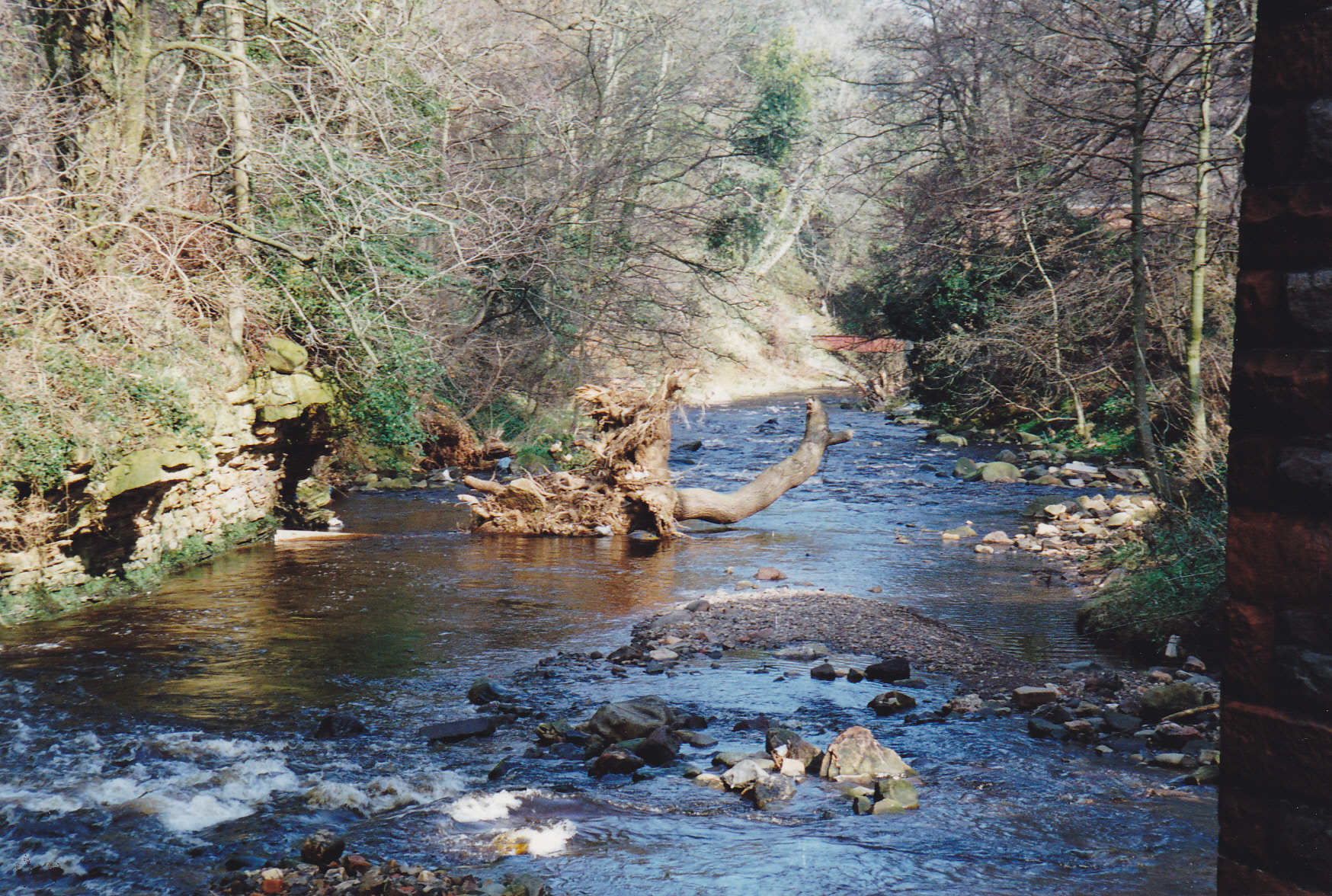 Colinton Dell