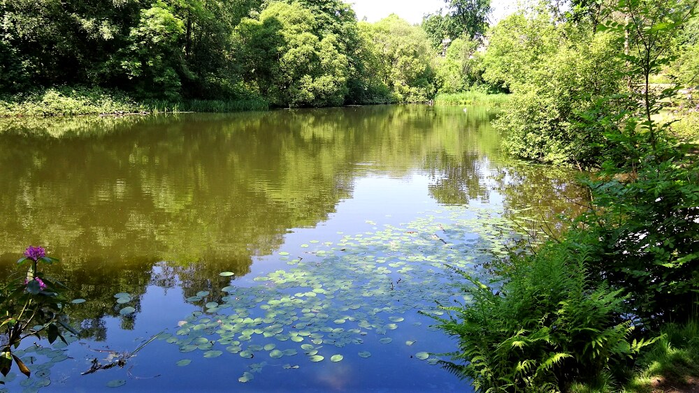 Craigend Loch