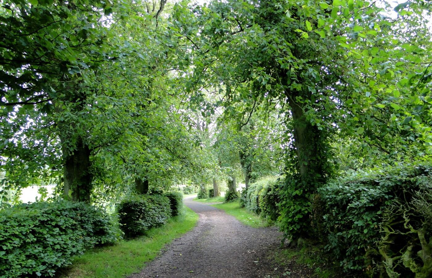 Millstone Park, Biggar