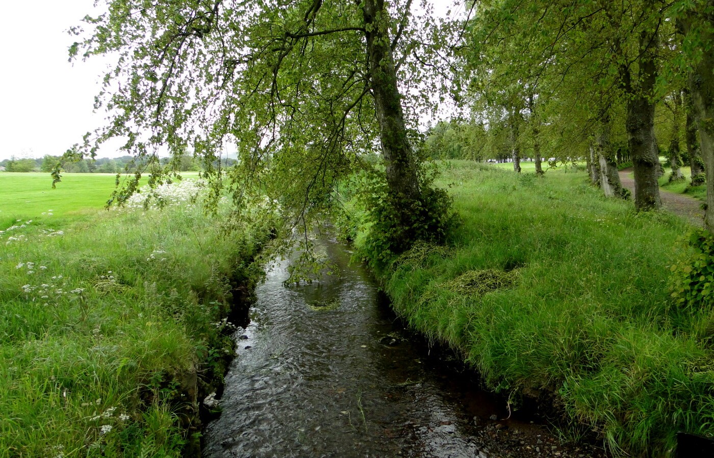 Hartree Mill Burn