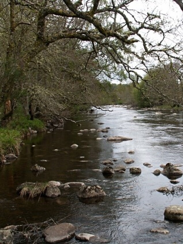 River Foyers