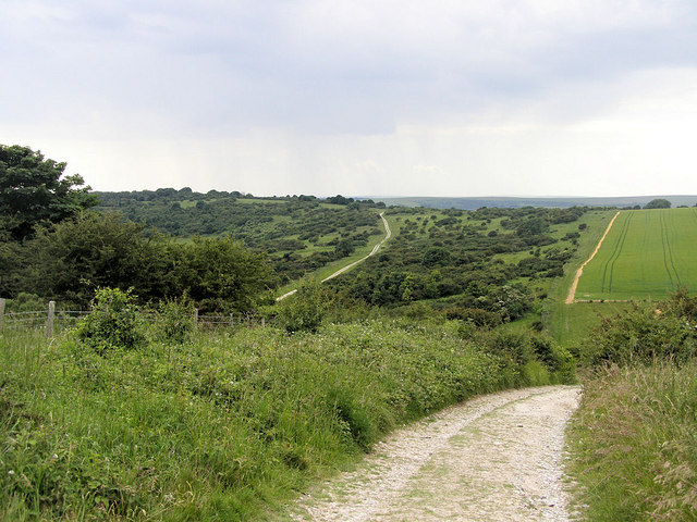 Lullington Heath