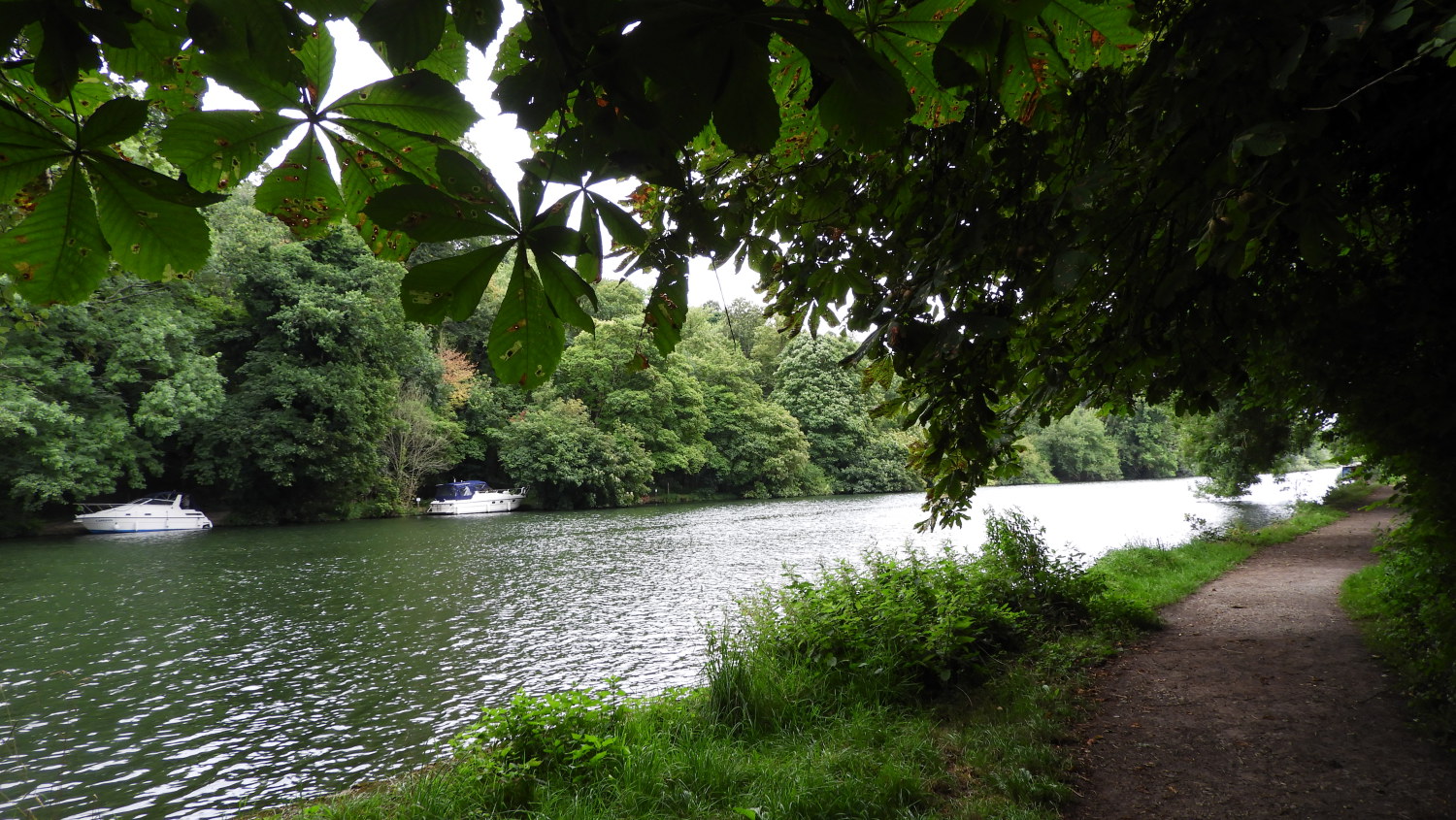 Following the Thames Path to Maidenhead