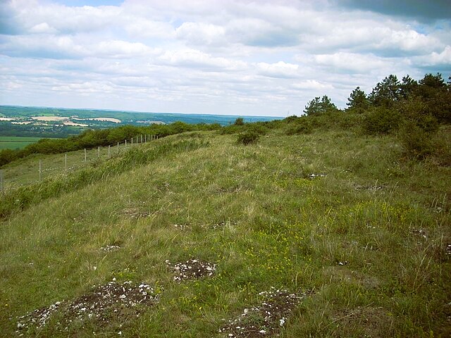 Beacon Hill