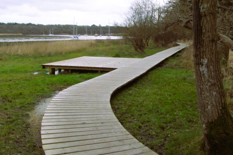 Boardwalk at Burnt Oak Copse