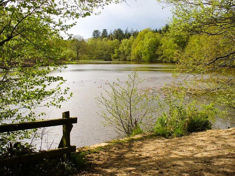 Kiln Pond, Mortimer West End