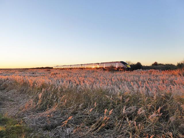 Javelin train crossing Wade Marsh