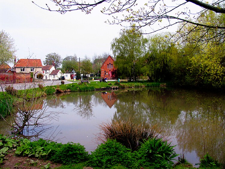 The village pond in East Ilsley