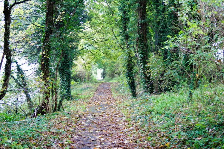 The path from Dennisford Road to East Ilsley