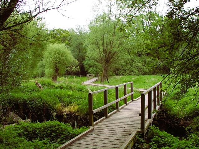 Boardwalk in Warnham Nature Reserve