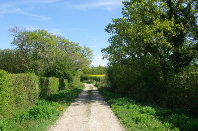 Country lane near Kingsland's Wood