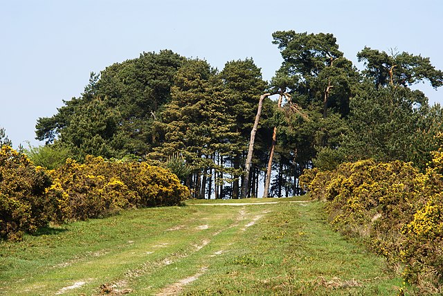 Camp Hill
