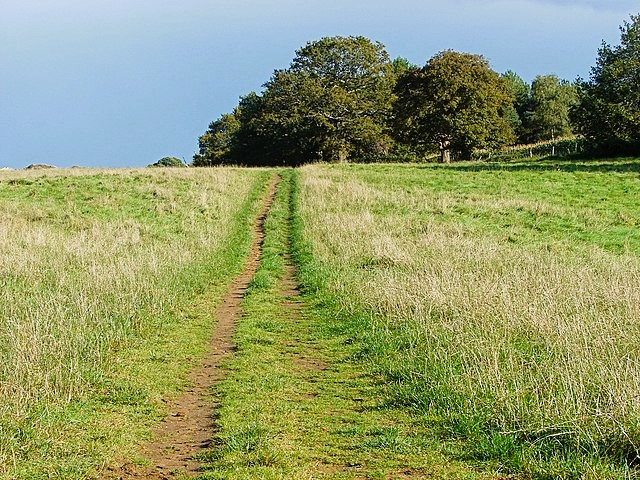 The Pilgrim's Way near Albury