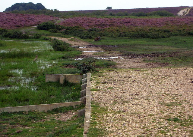 Bishop's Dyke