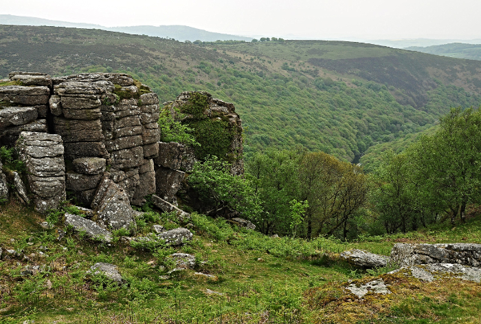 Bench Tor