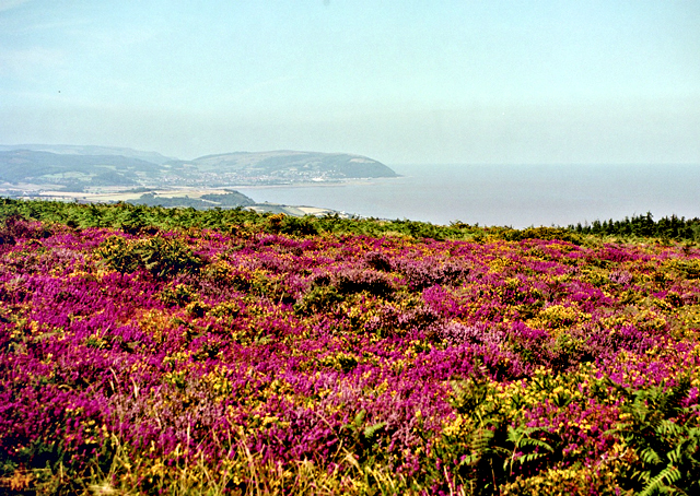 View from Beacon Hill to the coast