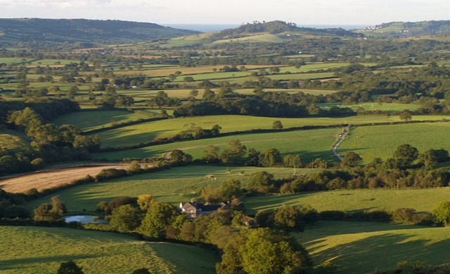 Countryside between Powerstock and Eggardon Hill