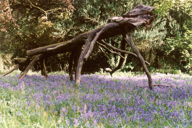 Natural tree art in Shell Wood