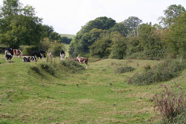 Walking the disused Grand Western Canal