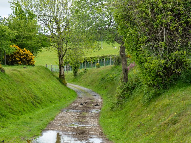 Lynton and Barnstaple Railway Track Bed