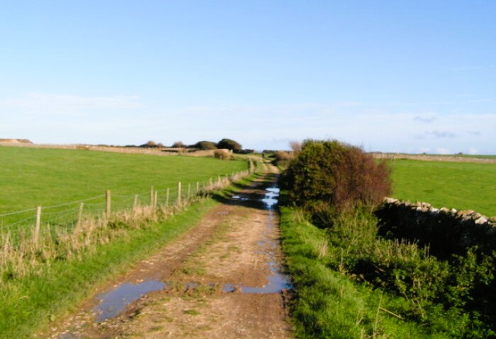Priest's Way near Worth Matravers