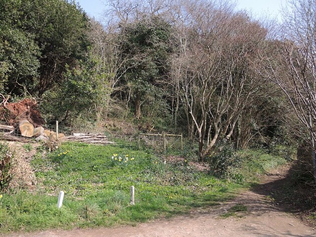 Tap's Combe