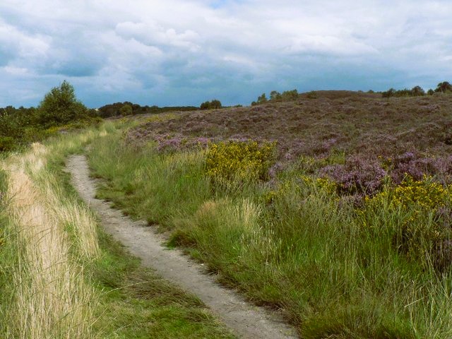 Path leading from Bourne Valley to Talbot Heath