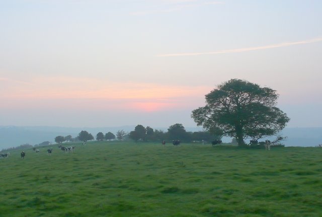 Large Bar Hill