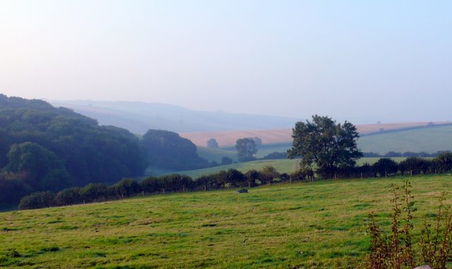 Pond Bottom and Shearplace Hill