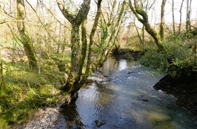 Little Dart River