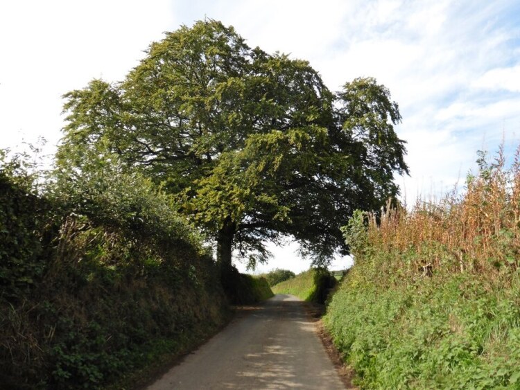 The lane to Hinam Cross