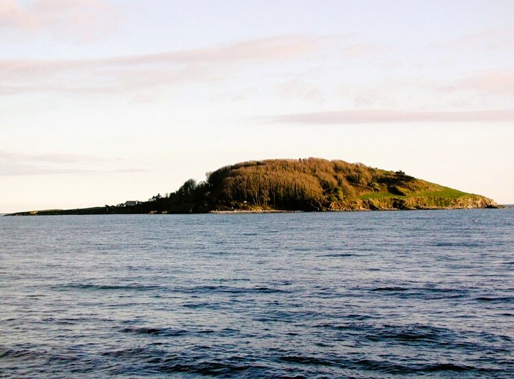 Looe Island, alternatively St George's Island