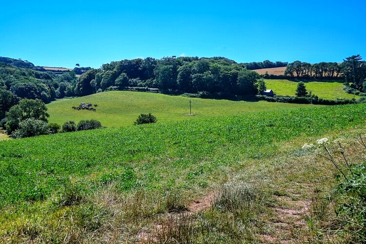 The countryside near Stokenham