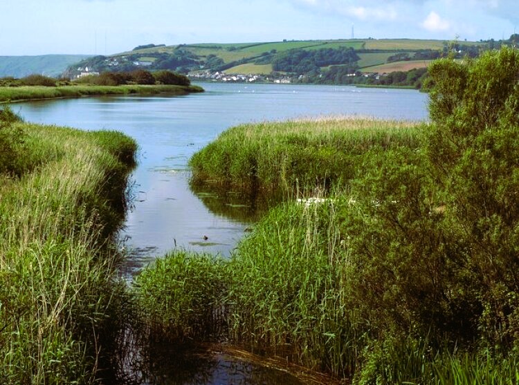 Slapton Ley Nature Reserve