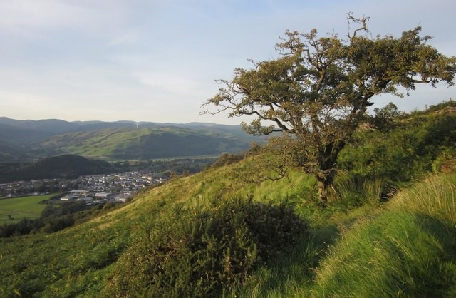 On Glyndwr's Way, south of Machynlleth