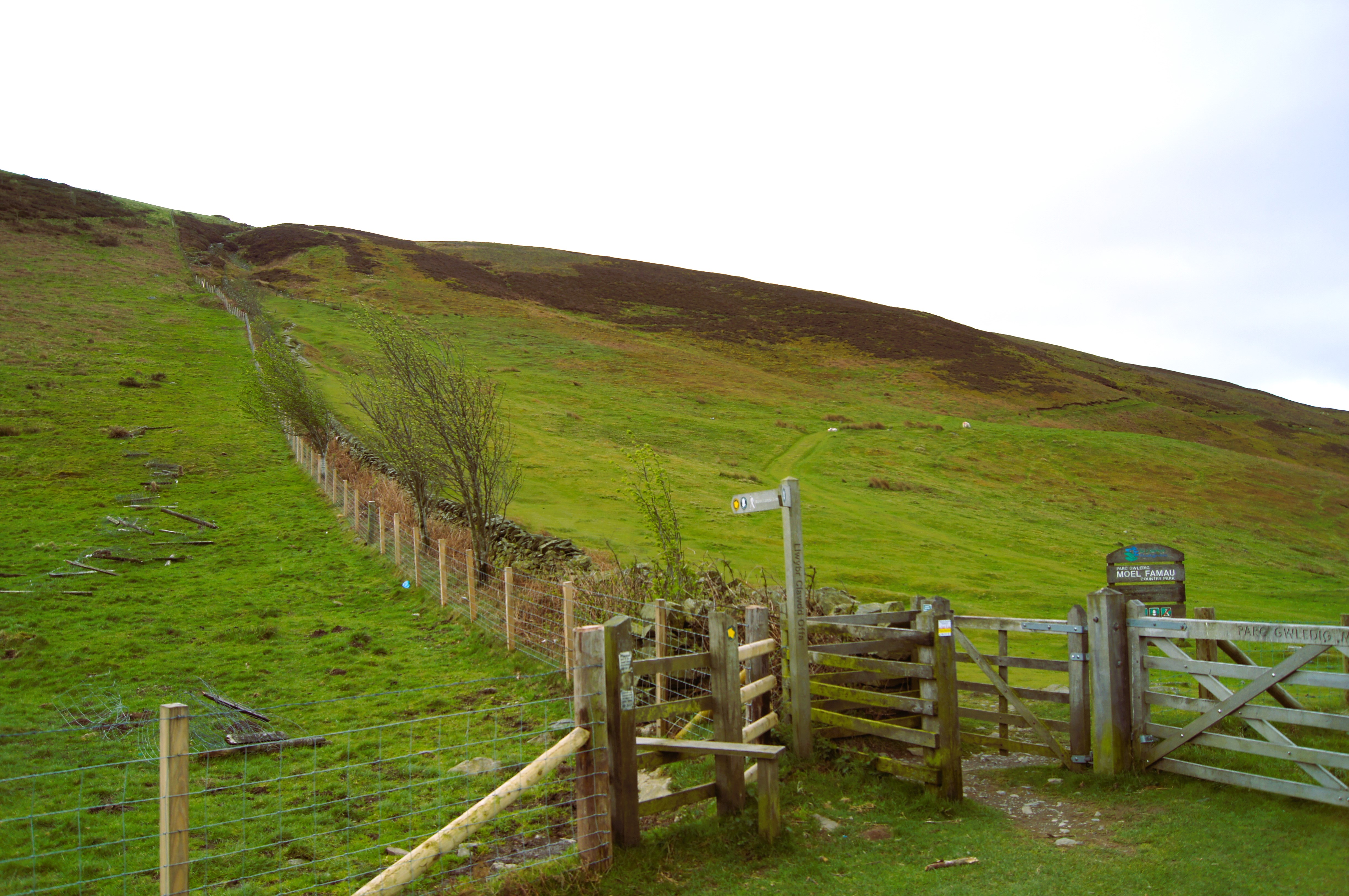 Climb to Moel Arthur from the road