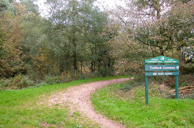 Trellech Common