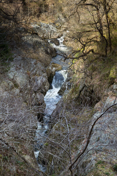 Afon Rheidol