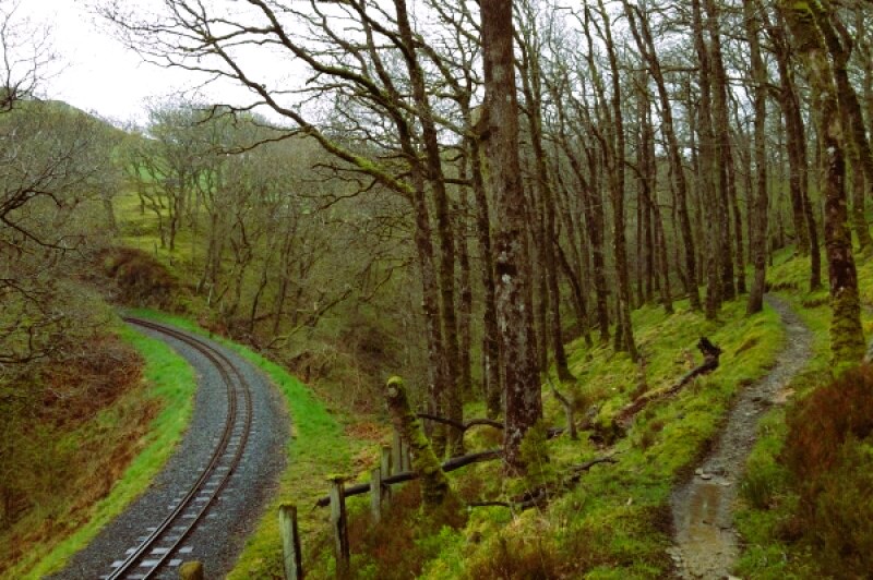 Railtrack and footpath in Coed Rheidol