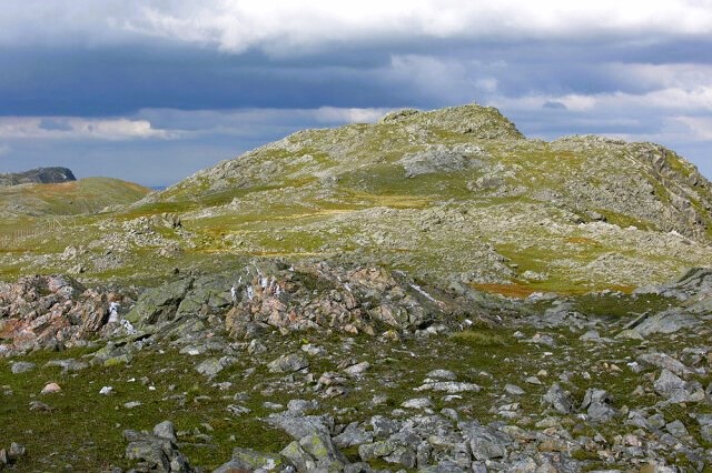 The summit area of Aran Fawddwy