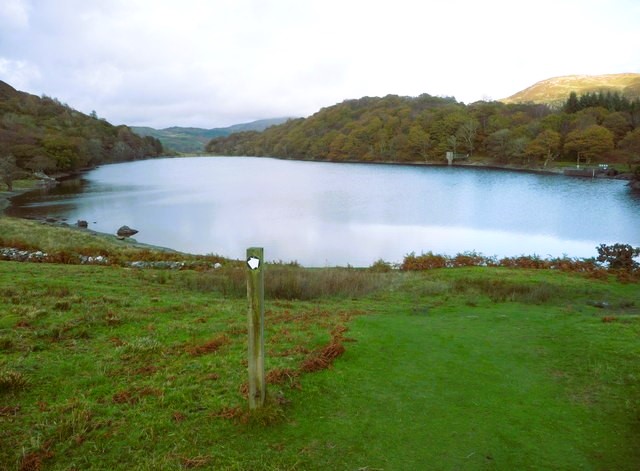 Llyn Cynwch